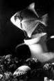 /album/fotografia/a1325192140-jpg/