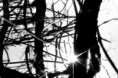 /album/fotografia/a1325199027-jpg/