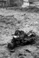 /album/fotografia/a1330967007-jpg/